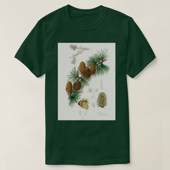 Linus larix Illustration aus Medical Botany 1836 T-Shirt (Design vorne)