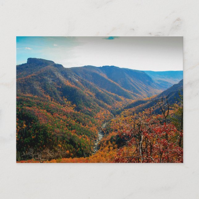 Linville Gorge in Autumn, North Carolina Postkarte (Vorderseite)