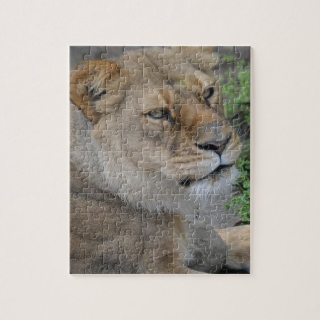 Lion (Vertikal)
