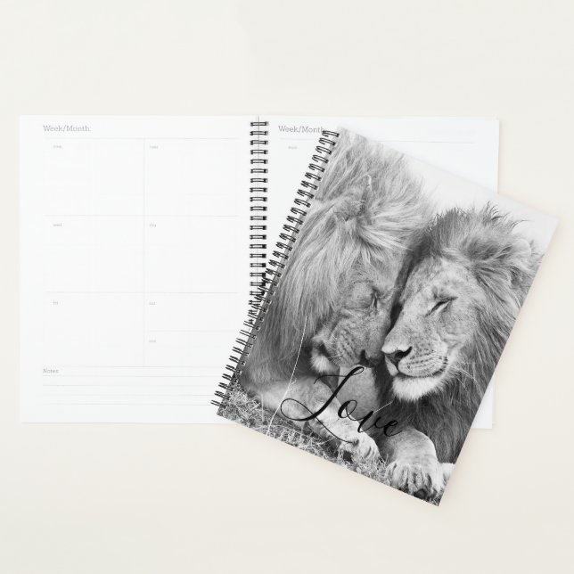 Lion (Devant avec enveloppe)