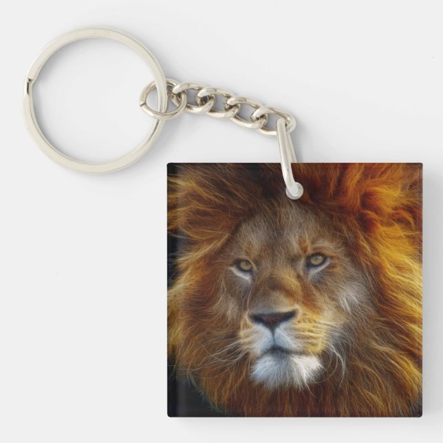 Lion (Devant)