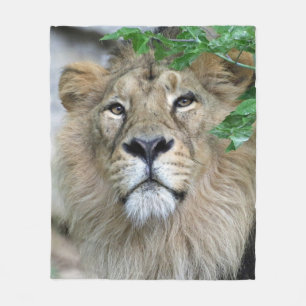 Lion 002 fleecedecke