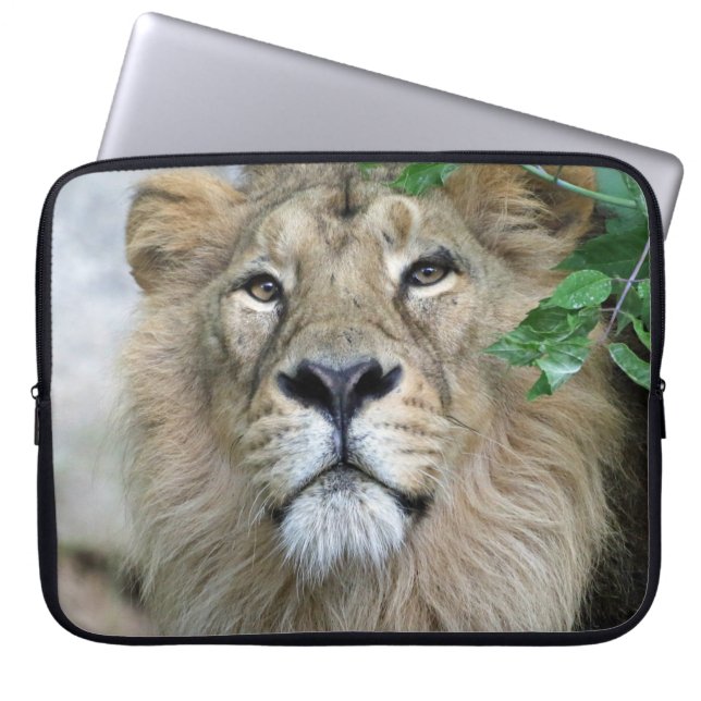 Lion 002 laptopschutzhülle (Vorderseite)