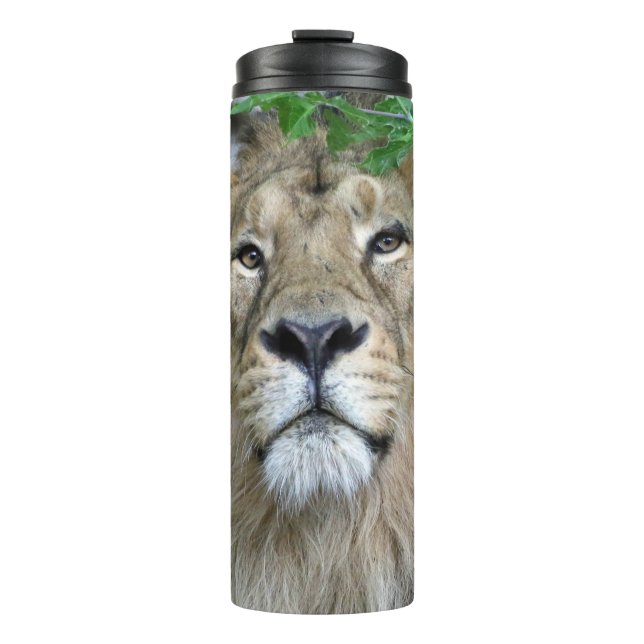 Lion 002 thermosbecher (Vorderseite)