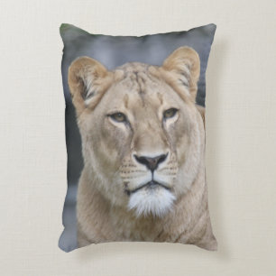 Lion 004 dekokissen