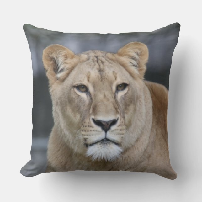 Lion 004 kissen (Vorderseite)