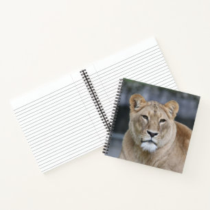 Lion 004 notizbuch