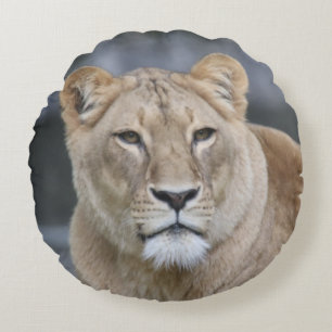 Lion 004 rundes kissen