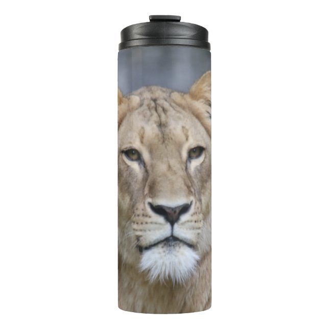 Lion 004 thermosbecher (Vorderseite)
