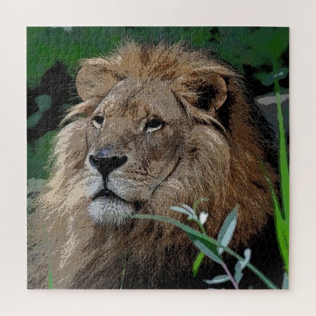 Lion 008 von JAMFoto (Vertikal)