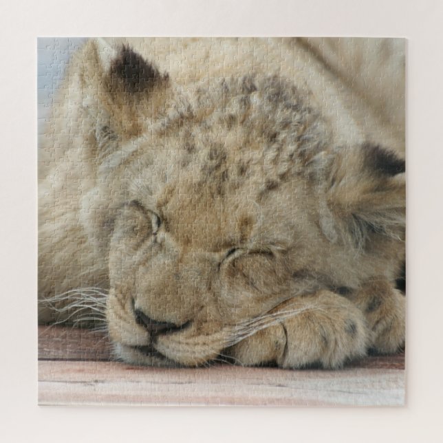 Lion 009 von JAMFoto (Vertikal)