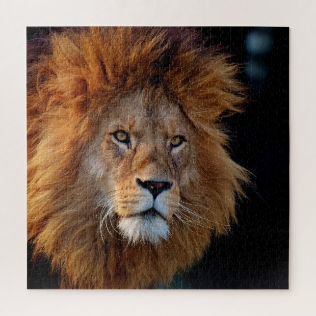 Lion 010 von JAMFoto (Vertikal)