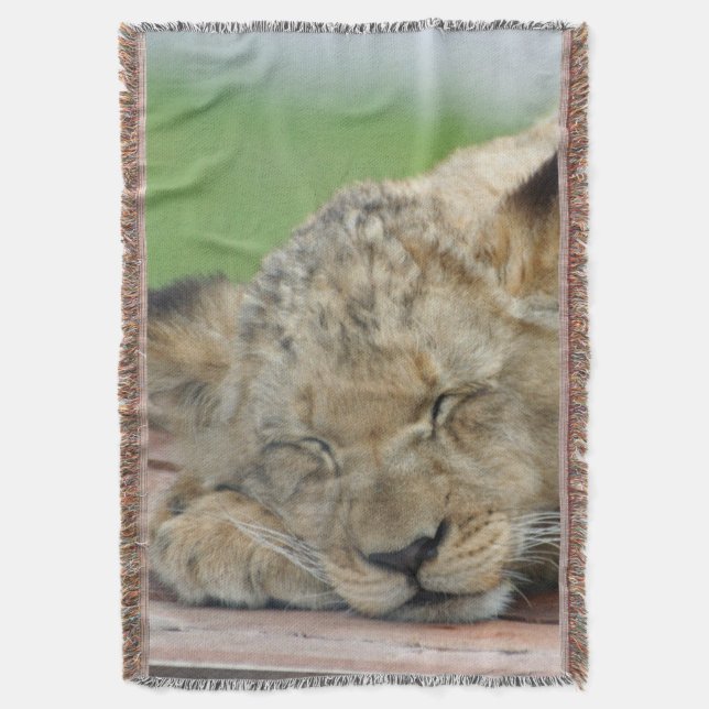 Lion 014 decke (Vorderseite Vertikal)