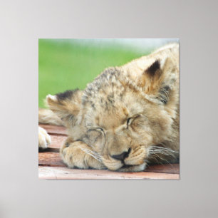 Lion 014 leinwanddruck