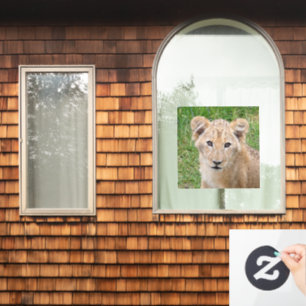 Lion 016 fensteraufkleber