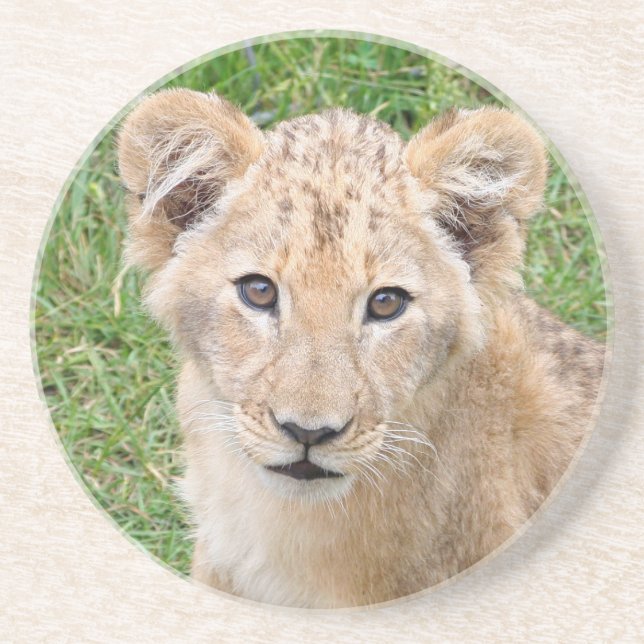 Lion 016 getränkeuntersetzer (Vorne)