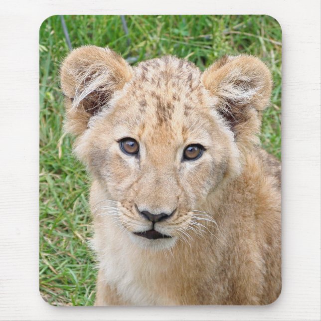 Lion 016 mousepad (Vorne)