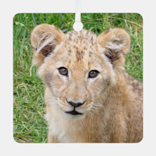 Lion 016 ornament aus metall