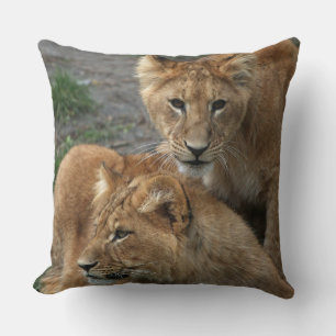 Lion 033 kissen