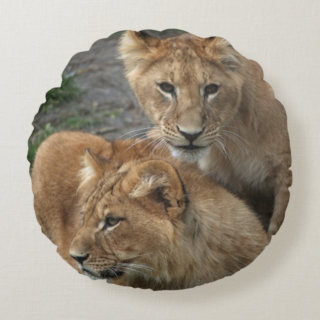 Lion 033 rundes kissen (Vorderseite)
