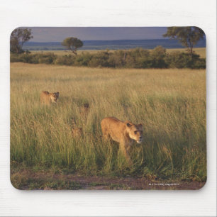 Lion 2 mousepad