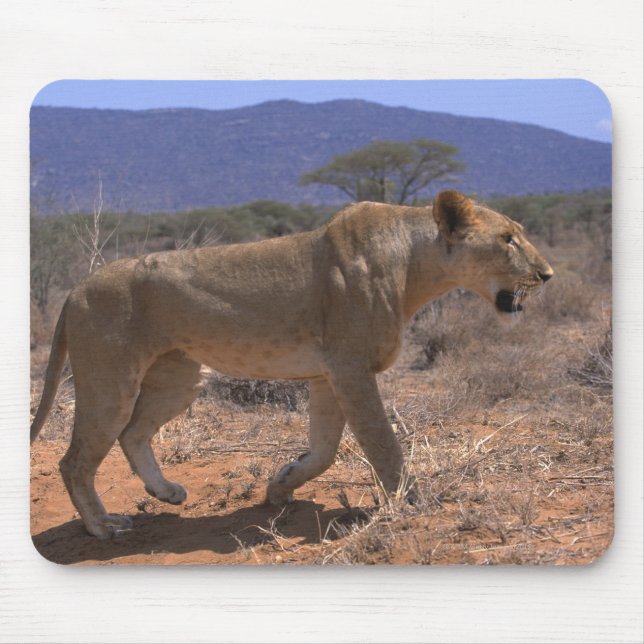 Lion 3 mousepad (Vorne)