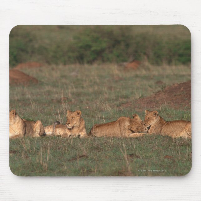 Lion 4 mousepad (Vorne)