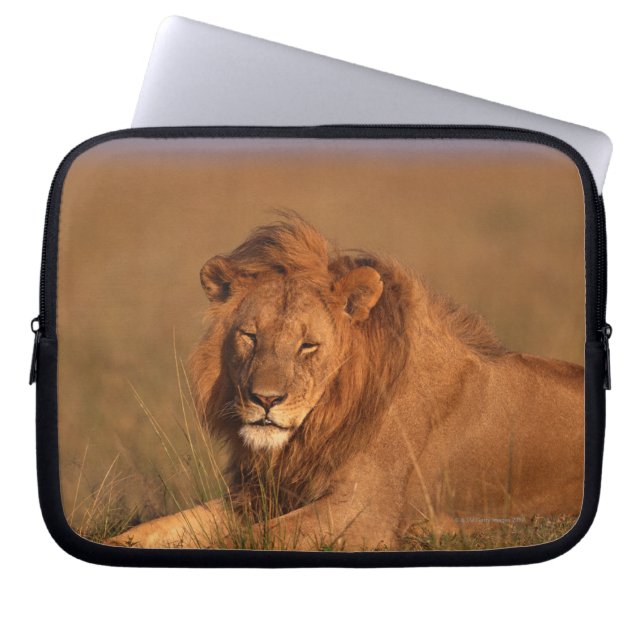 Lion 8 laptopschutzhülle (Vorderseite)