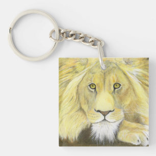 Lion africain
