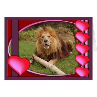 lion-africain-00005-65x45