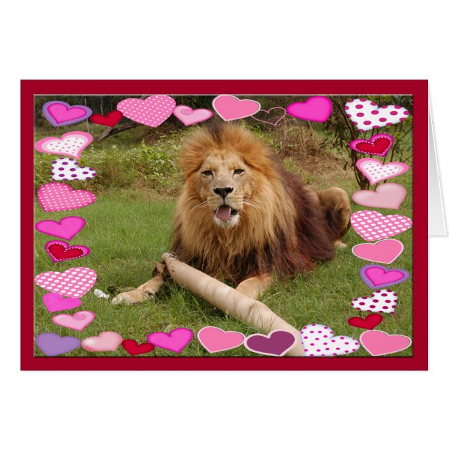 lion-africain-00030-65x45 (Devant horizontal)
