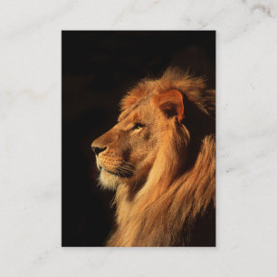 Lion africain puissant - Carte de visite à deux cô