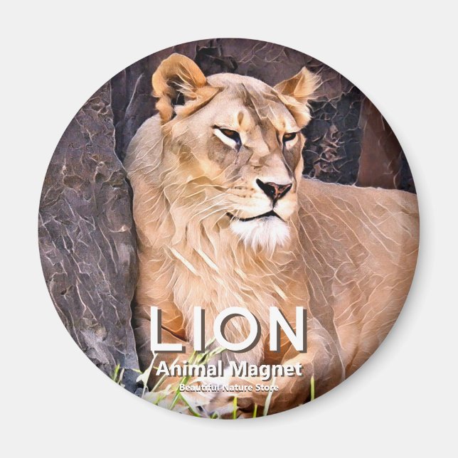 Lion aimant (Devant)