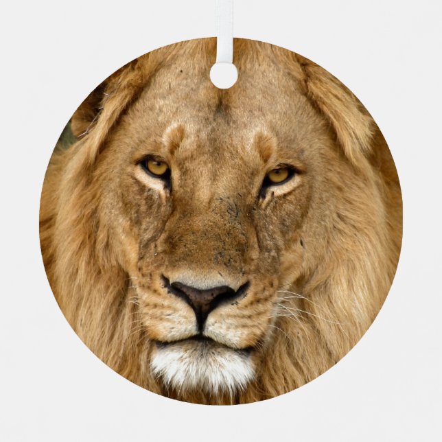 Lion Avec Grand Mane Ornement En Céramique (Recto)