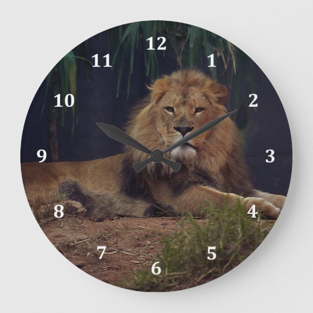Lion Behalte über seinen Stolz wachen Große Wanduhr (Vorderseite)