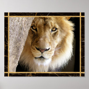 Lion Big Cat Foto Image Print Poster