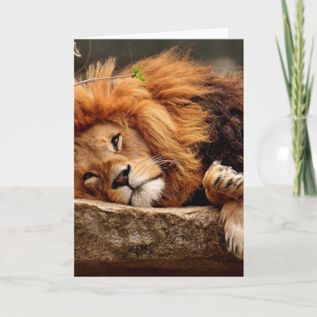 LION CARTES DE SALUT D'ANNIVERSAIRE (Devant)