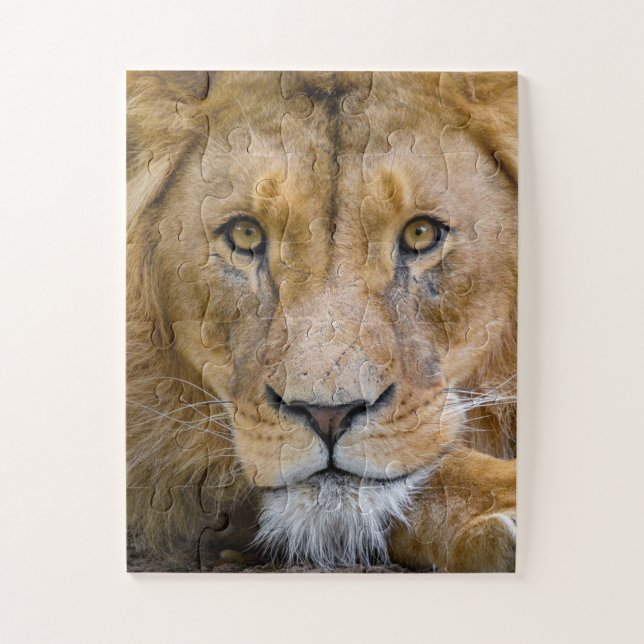 LION CLOSEUP FOTOGRAFIE JIGSAW PUZZLE (Vertikal)