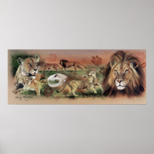 Lion Collection Poster