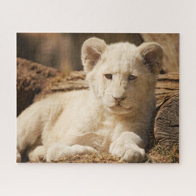 Lion Cub (Horizontal)