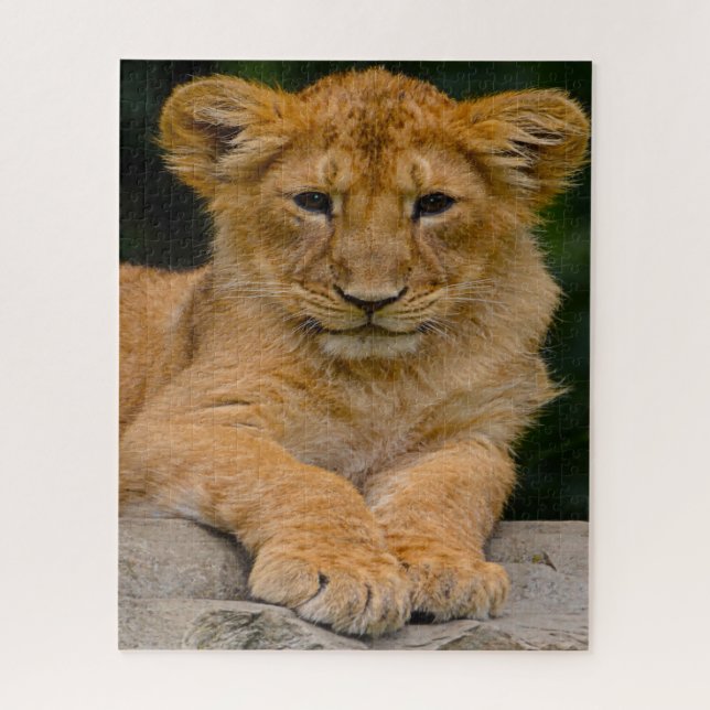 Lion Cub Big Cats. (Vertikal)