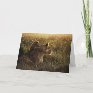 Lion & Cub Grußkarte Karte
