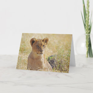 Lion Cub Grußkarte Karte