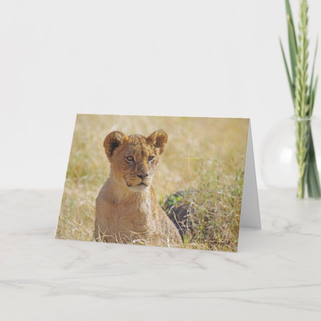 Lion Cub Grußkarte Karte (Vorderseite)