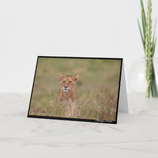 Lion Cub Karte