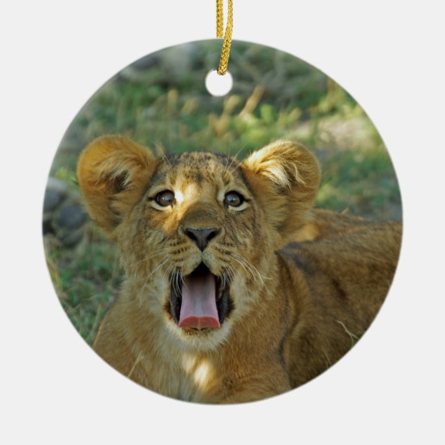 Lion Cub Keramikornament (Vorne)