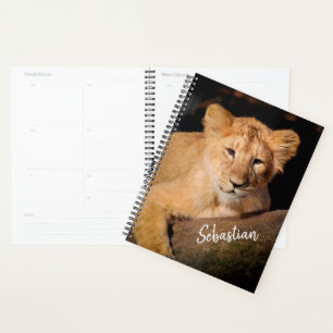Lion Cub Planer