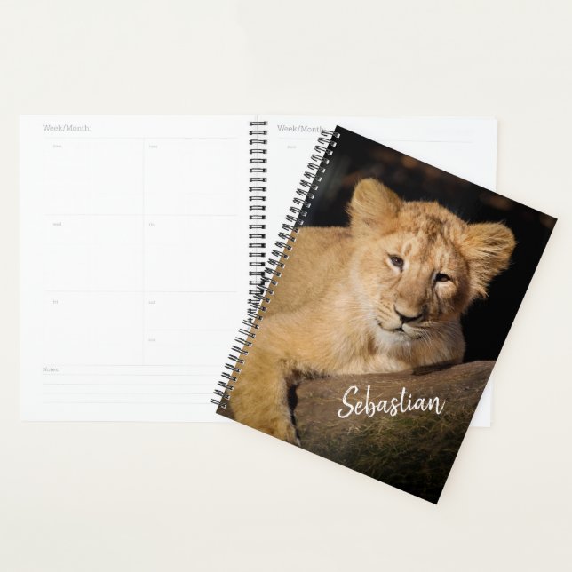 Lion Cub Planer (Anzeige)