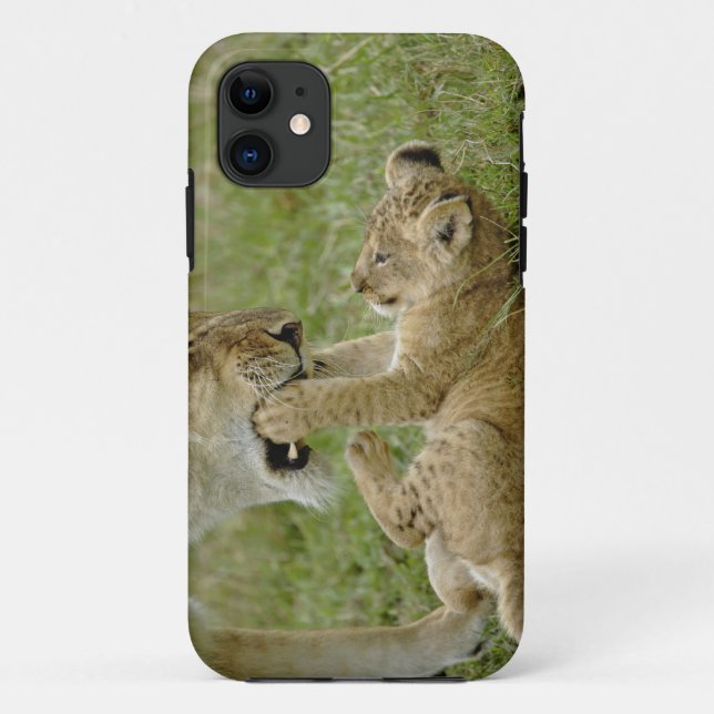 Lion Cub Playing Case-Mate iPhone Hülle (Rückseite)