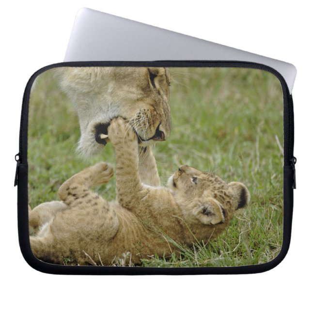 Lion Cub Playing Laptopschutzhülle (Vorderseite)